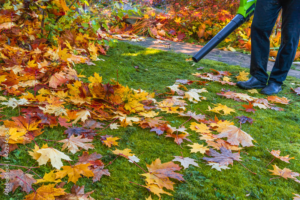 maple leaf blower