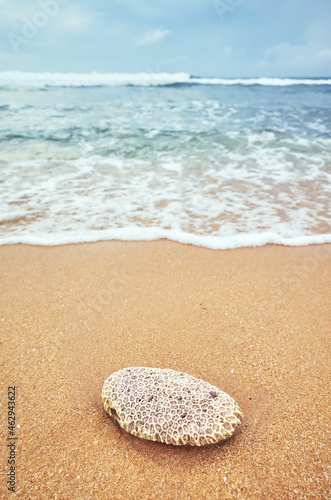 Coral on a tropical beach, selective focus.