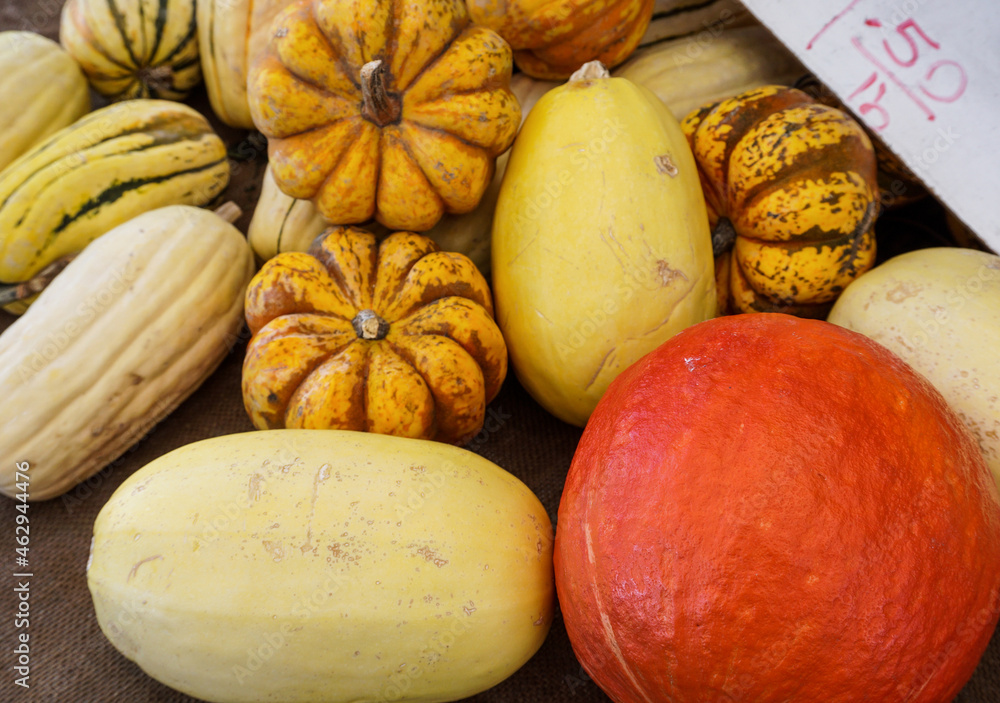 Colorful farmers market display of yellow squash and gourds with orange pumpkin.