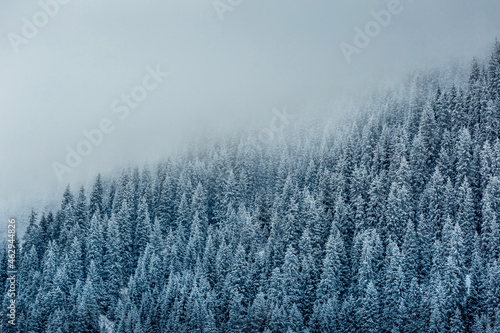 Snow covered mountains