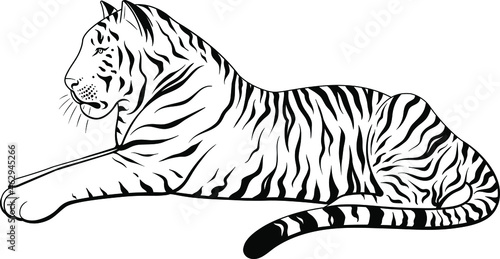 Fototapeta Naklejka Na Ścianę i Meble -  Vector Black and White Lying Tiger Illustration