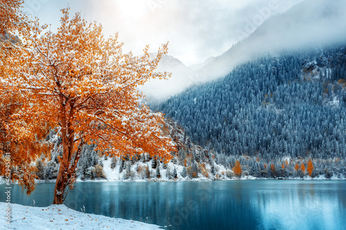 Autumn landscape with trees and snow