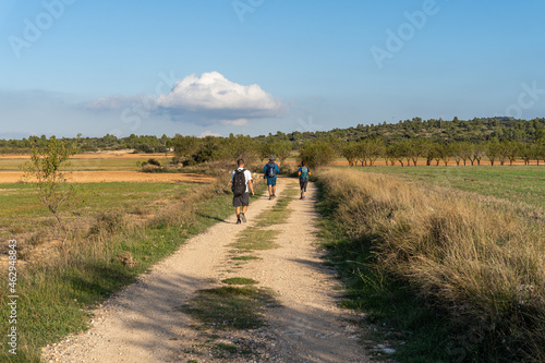 Three hikers seen from behind, walking along a country road, at sunset.