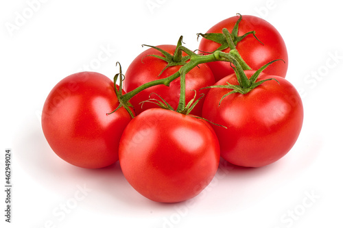 Tomato branch. Ripe fresh tomatoes, close-up, isolated on white background.