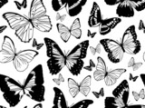 Seamless black and white pattern with realistic morpho butterflies