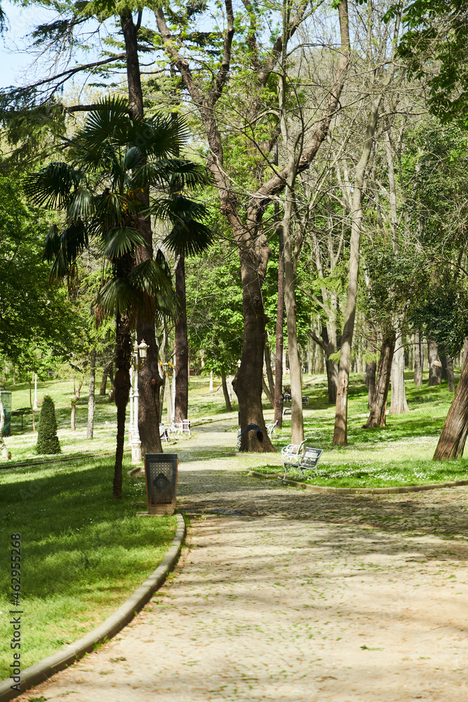 The paths of Gulhane Park in Istanbul in spring. Fatih district. High quality photo