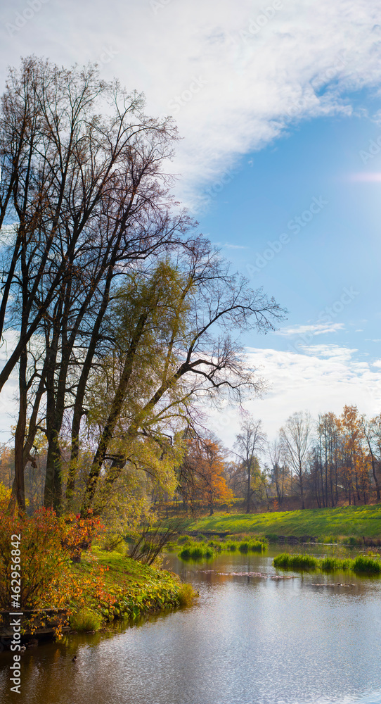 Fototapeta premium Landscape of late autumn. Bare and colored trees on the river bank, beautiful picturesque background. Natural paints. Beautiful view.
