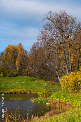 Landscape of late autumn. Bare and colored trees on the shore of the pond, a beautiful picturesque background. Natural paints. Beautiful view.