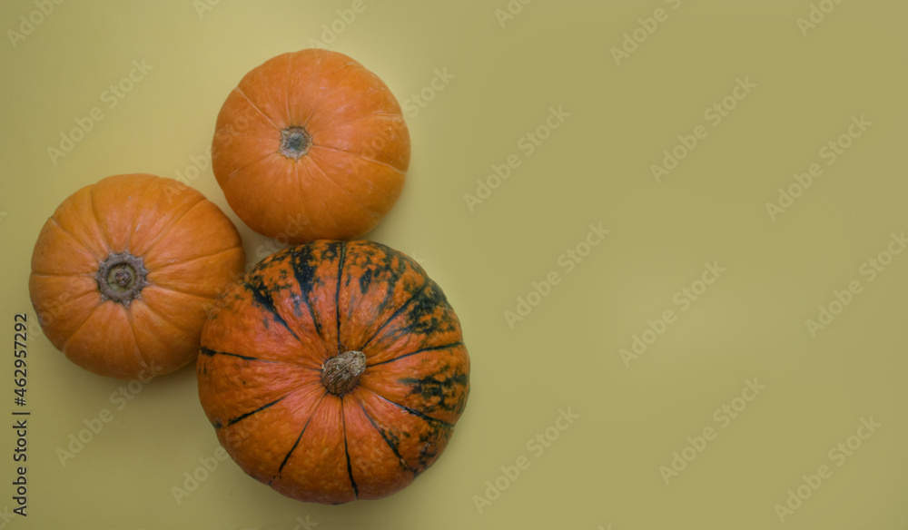 Three small raw pumpkins on yellow background. Autumn flat lay. Bio products for healthy cooking. Farm, diet, shop concept. Banner with copy space Three small raw pumpkins on yellow background. Autumn flat lay. Bio products for healthy cooking. Farm, diet, shop concept. Banner with copy space
