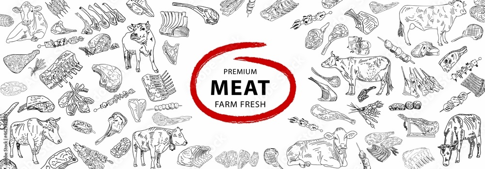 Fresh meat products collection. Sketch vector illustration. Hand drawn illustration. Pieces of meat design template. Design element for poster, menu, flyer, banner, menu, package.