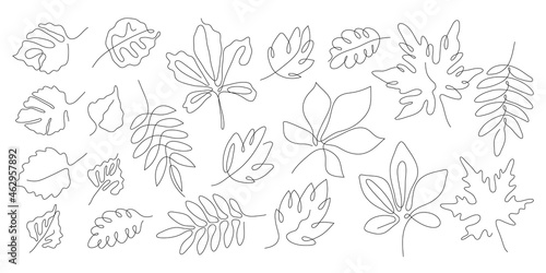 One line art style autumn leaf set. Abstract creative plant in minimalism design. Hand drawn vector illustration.