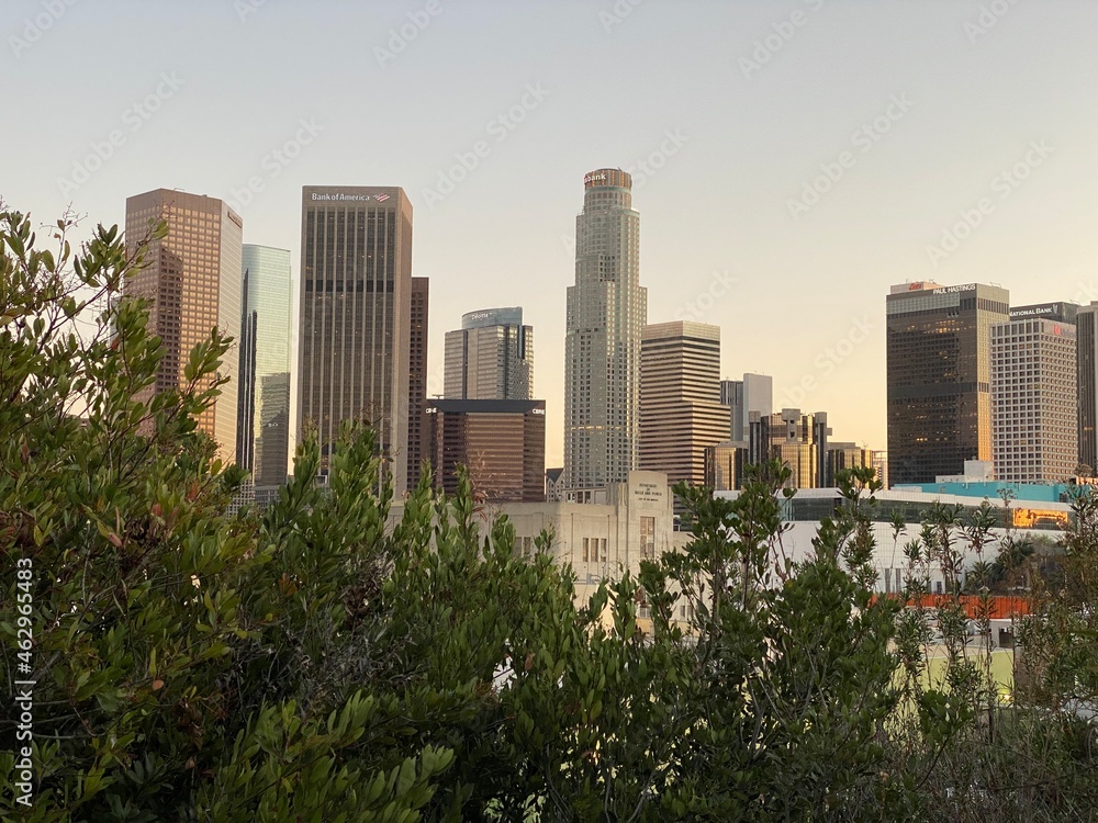 Obraz premium LOS ANGELES, CA, JAN 2021: skyscrapers and tall buildings in Downtown skyline seen over trees, from the north of the city at dusk
