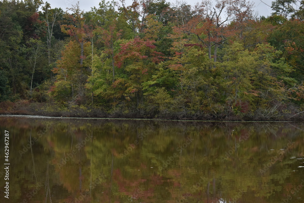 Autumn trees reflecting on the water