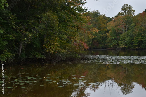 Autumn trees reflecting on the water © Jeff N.