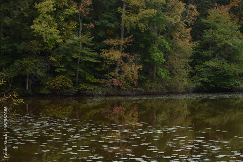 Autumn trees reflecting on the water