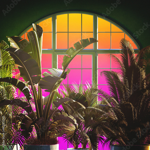 3D Tapete im Flur - Fototapete Tropical plants in a curved window with a gradient sunset