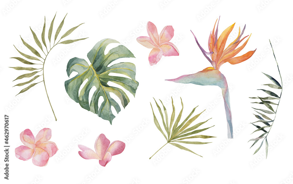Strelitzia, plumeria, monstera, palm leaves. Tropical jungle plants. Watercolor hand drawn colorful set. Object isolated on white background. For textile, design, backgrounds.