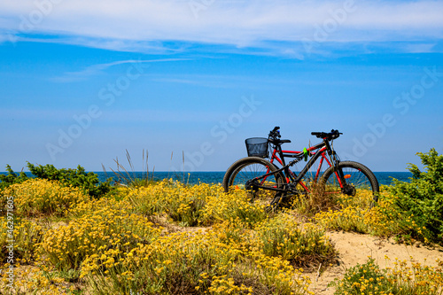 sport e mare 02 - biciclette sulle dune fiorite in riva al mare