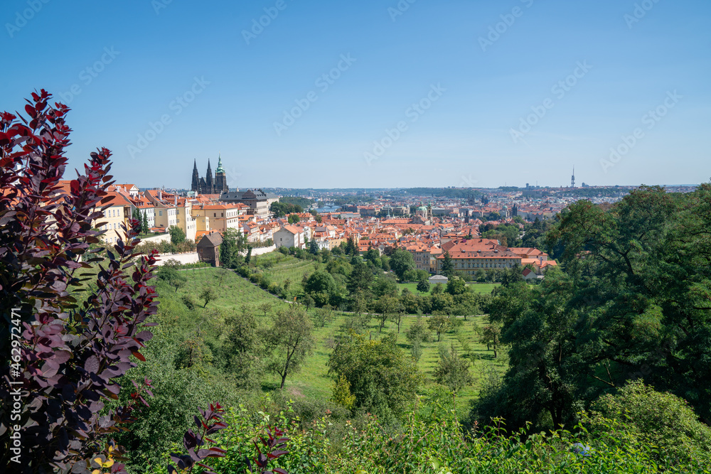 Fototapeta premium Cityscape of Prague, rooftops, and river from Petrin Hill