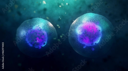 3D Animation of Cell division under a microscope. Cloning Cells. Cell mitosis concept.