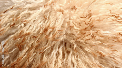 White brown soft natural sheep wool texture background