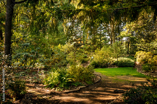 Montreal Botanical Garden in fall  Quebec  Canada.