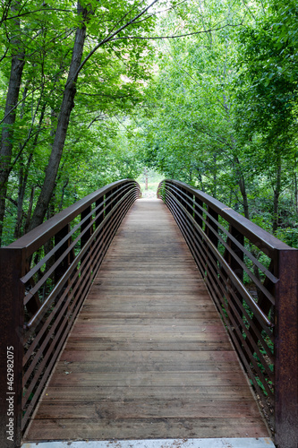 bridge in the forest © ulora