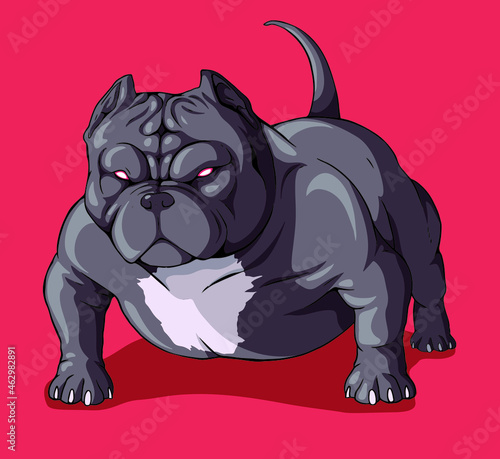 dog american bully pitbull