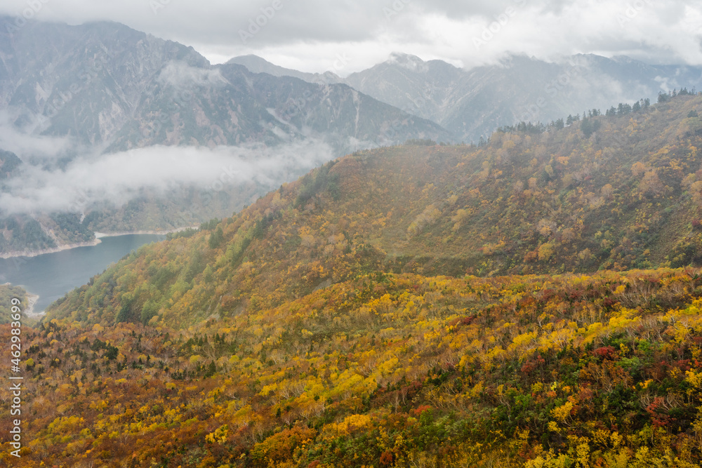秋の立山黒部アルペンルート　黒部平から見た紅葉と山