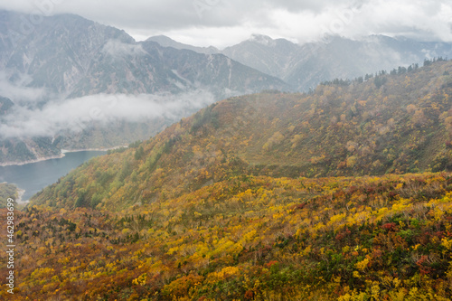 秋の立山黒部アルペンルート　黒部平から見た紅葉と山 © yonyonmiyon