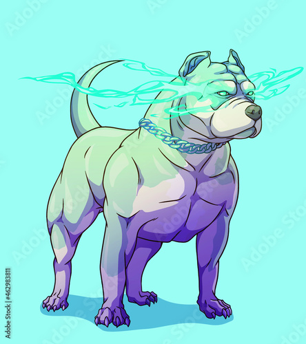 Dog american bully pitbull