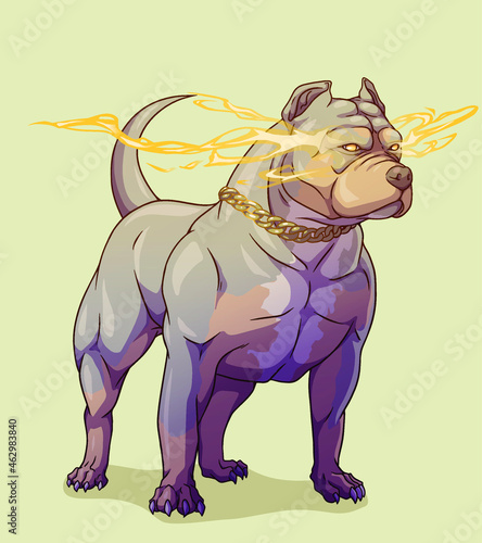 Dog american bully pitbull