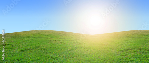 Fototapeta Naklejka Na Ścianę i Meble -  summer and green field with blue sky