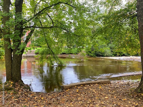 River in the Park