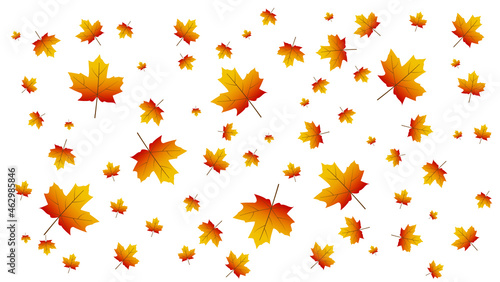 autumn leaves background