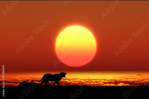 日の出と虎 © bigfoot