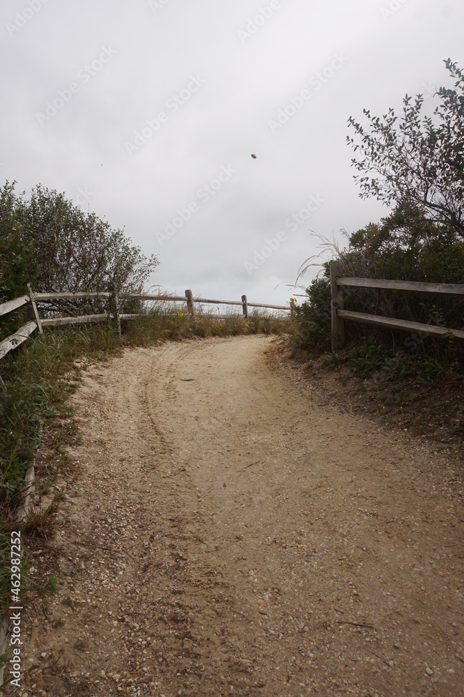 Sandy Path through Dune with Woden Fence in Daylight