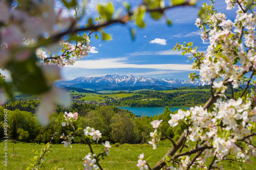 Fototapeta Jezioro Czorsztyńskie i Tatry zza kwitnących drzew.