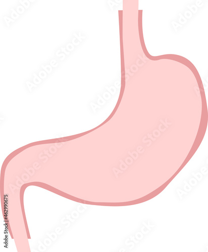 シンプルな人の胃のイラスト
