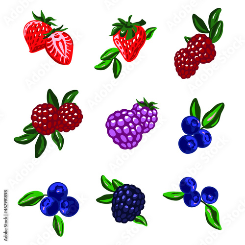 Berries set on the white background. Strawberries  blueberries  raspberries  green leaves. vector