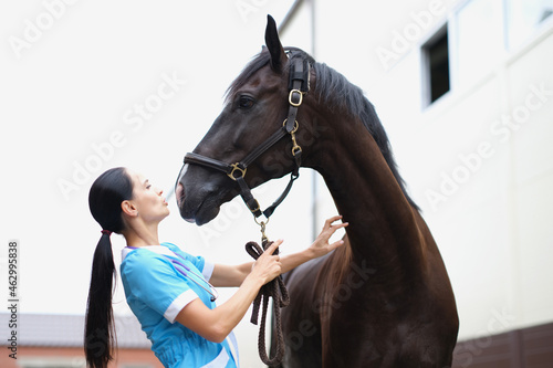 Veterinarian doctor performs physical examination of horse neck