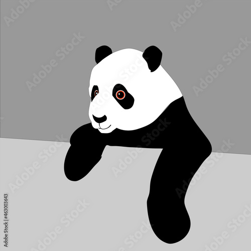 panda bear cartoon