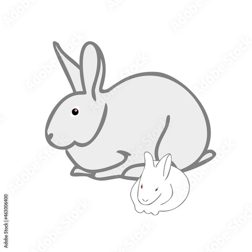 rabbit with small rabbits © Gala