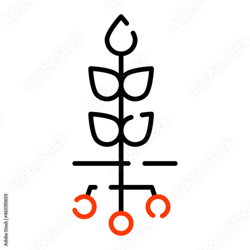 A linear design icon of barley crop