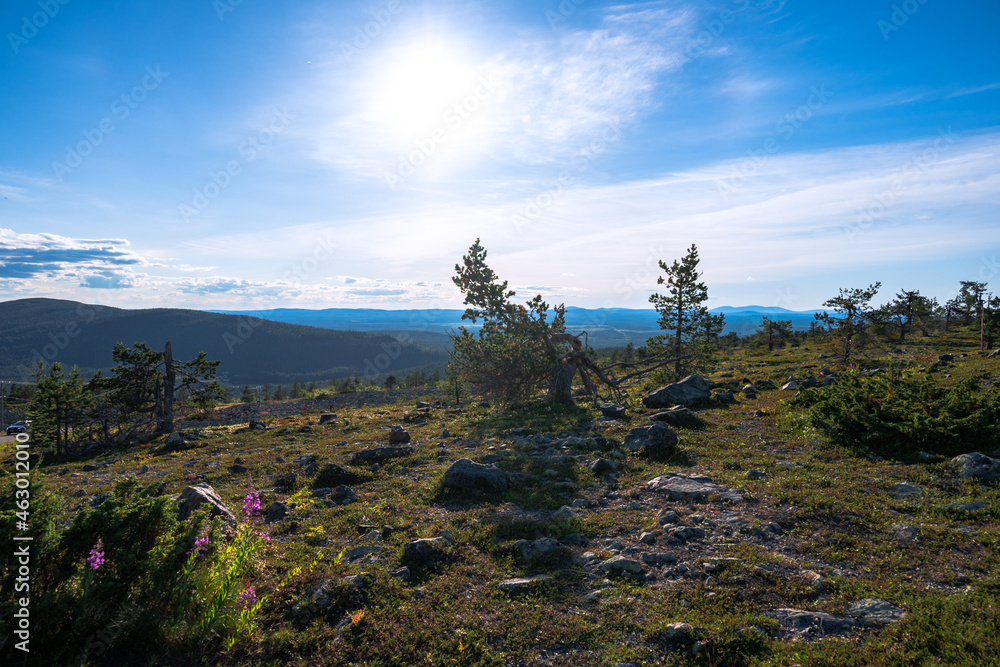 Landscape from the Levi fell, Lapland