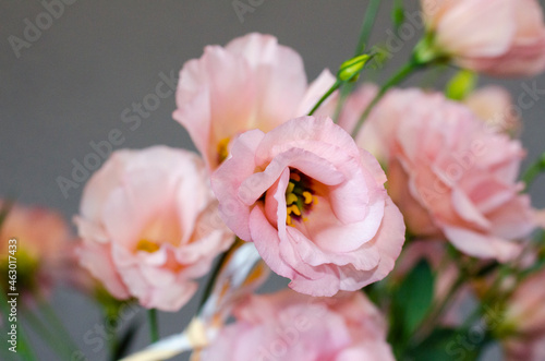 Pink flowers. Bouquet of flowers. Spring gentle