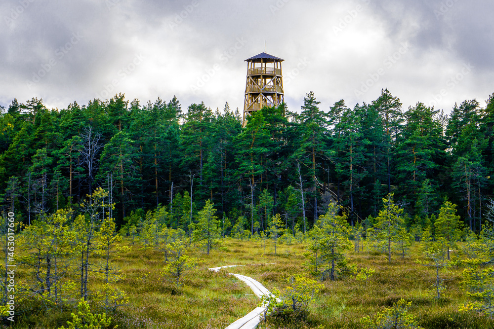 Watch tower made of wood in a forest with moorland in the foreground in Lahemaa National Park, Estonia