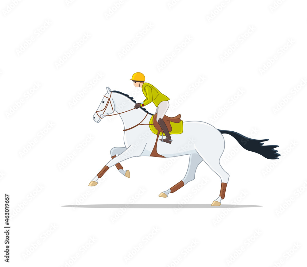 Equestrian eventing girl cantering horse. Hand drawn vector illustration.