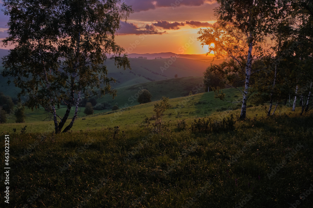 Fototapeta premium Sunset in the Altai mountains. Silhouettes of trees against the background of the wonderful sky.