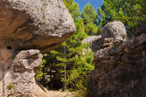 Big mountain rocks in pine forest. Nature background.